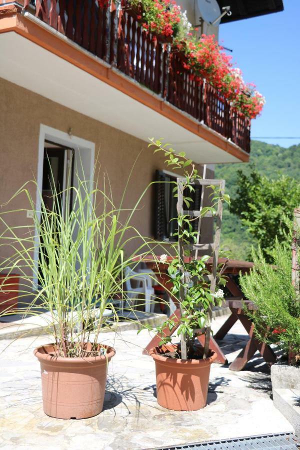 Apartment Mara